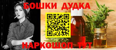 молекула духа Новодвинск