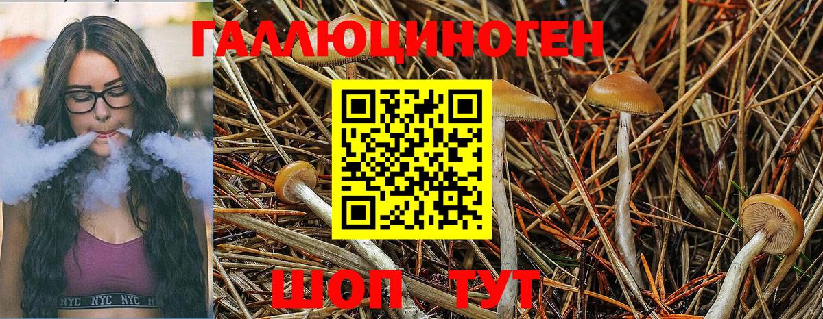Галлюциногенные грибы GOLDEN TEACHER Унеча