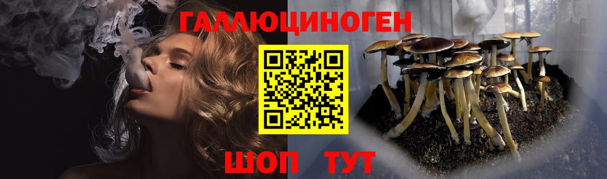 Унеча  Псилоцибиновые грибы Cubensis  Вход с VPN  Псилоцибиновые грибы мухоморы 